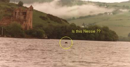 Nessie near Urquhart Castle