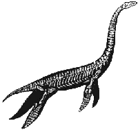 Plesiosaur