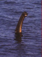 Close up of Nessie