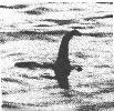 Nessie