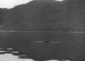 View of Nessie