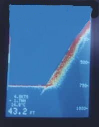 Sonar readout of Loch Ness