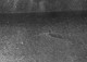Thumbnail 2 Tim Dinsdale